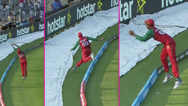 A Good Cricket Catch