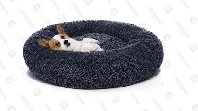   Orthopedic Dog Bed | $21-$36 | Amazon | Clip Coupon 