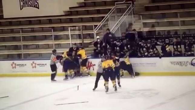 Former NHL Player Suspended For His Role In Youth Hockey Fight
