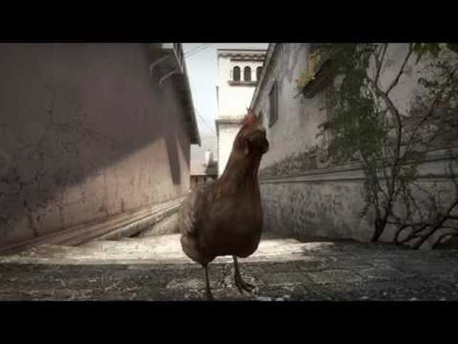 Damn You, <em>Counter-Strike</em> Chicken