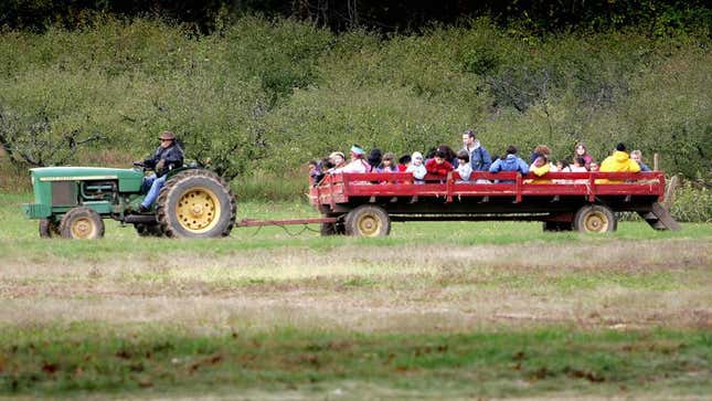 Image for article titled Report: 15,000 People Vanish From ‘Fall Fest’ Hayride Wagons Each Year