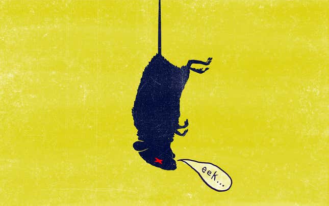 Image for article titled The Correct Way To Catch (And Kill) Mice
