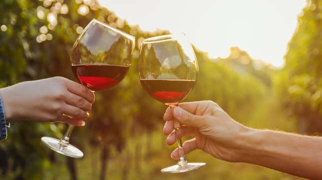 France scraps Dry January campaign after alleged pressure from winemakers