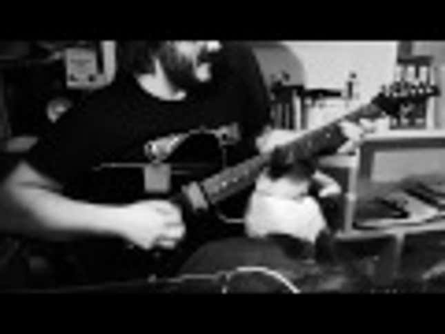 Metal-Hating Cat Won't Let Owner Bust Out Awesome Guitar Solo