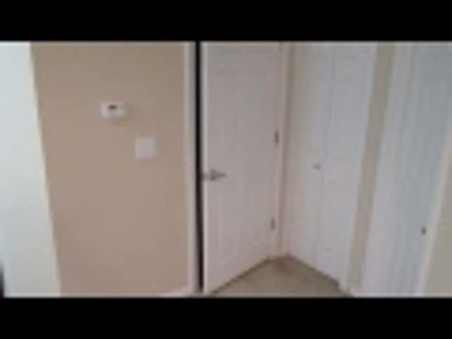 Clever Kitten Named 'Mulder' Has Figured Out How to Open Doors