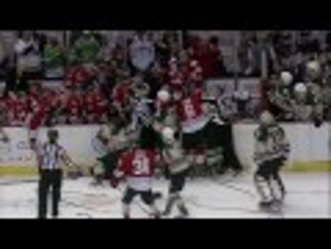 Hockey Fight Erupts In, And Around, The Benches