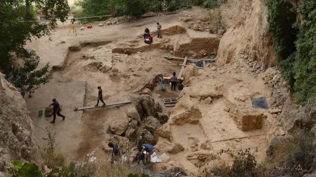 The site at El Salt, Spain, where ancient poop keeps turning up.