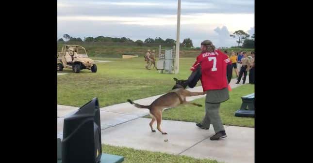 Image for article titled US Navy to Investigate Video of a Kaepernick Stand-In Being Used in an Attack Dog Demonstration at Navy SEALS Museum