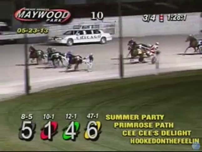 Idiot With Death Wish Runs Onto Track During Harness Race