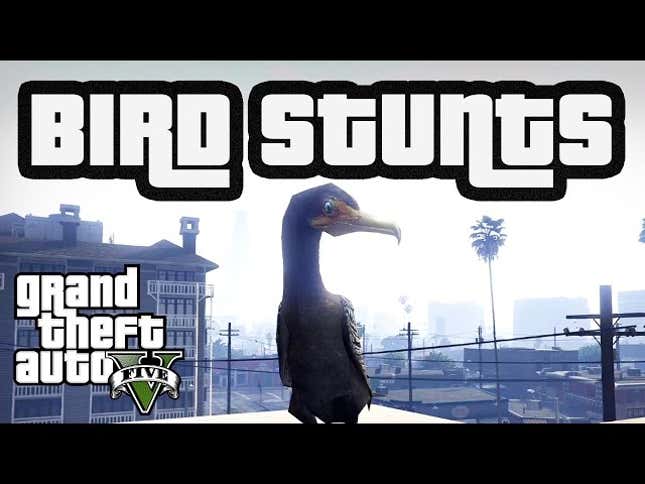 Finally, A <i>GTA V </i>Stunt Montage With Birds