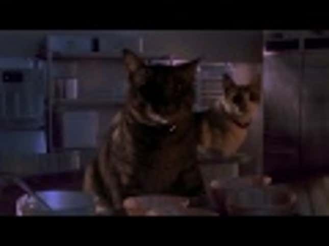 Guys, What If We Made <em>Jurassic Park</em>... With Cats