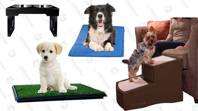 Image for article titled Seven Products That Will Make Your Senior Dog&#39;s Life So Much Easier