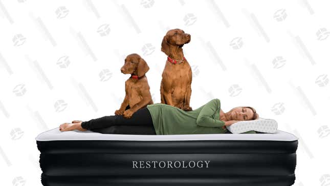 Restorology Queen-Sized Air Mattress | $39 | Meh