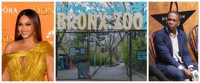 Beyonce’s ‘Black Is King’ comes to Disney+, The Bronx Zoo and other NYC zoos and aquariums have opened, and members of the original cast of ‘Hamilton’ will take part in a special charity performance event. (Pictured: Leslie Odom Jr.)