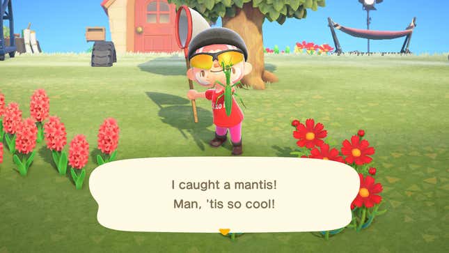 Image for article titled Animal Crossing: New Horizons Is an Instant Self-Isolation Classic