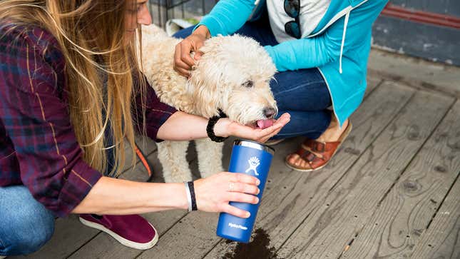 50% Off 22 oz and 32 oz Tumblers in Black, Graphite, Cobalt, and Pacific | Hydro Flask | Promo code TUMBLER-4Q8RG9