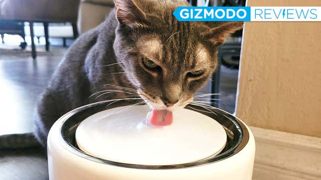 Image for article titled This Smart Pet Drinking Fountain Has Made My Cats Insufferable Water Snobs