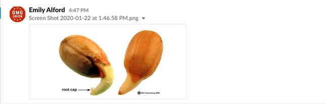 Image for article titled We've Thought a Lot About Fucking Mr. Peanut, and We Have Additional Thoughts