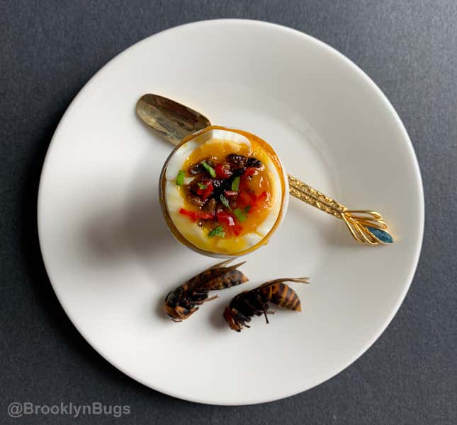 Hornets and hornet larvae with a six-minute egg