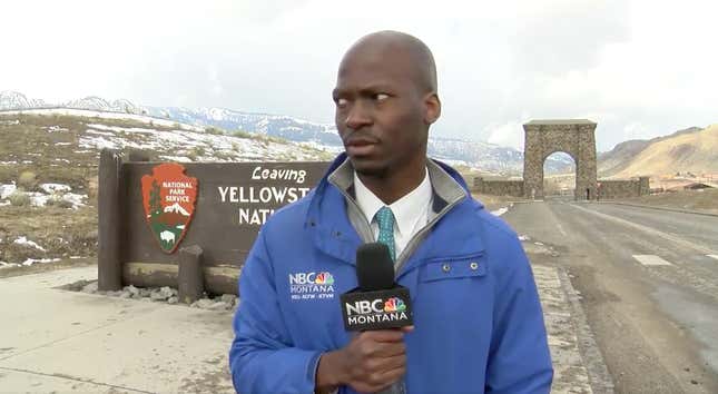 Image for article titled This Reporter Staring Down a Herd of Bison Is All of Us This Week