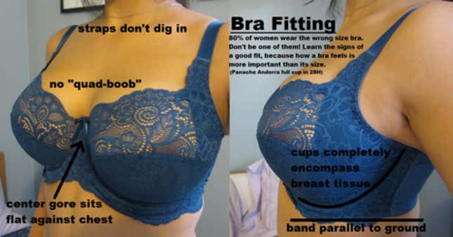 Image for article titled Bra Company May Finally Have Your Boobs Figured Out