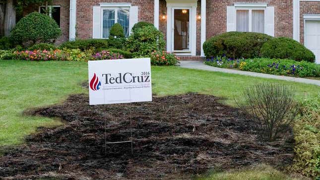 Image for article titled Scientists Warn All Plant Life Dying Within 30-Yard Radius Of Ted Cruz Campaign Signs