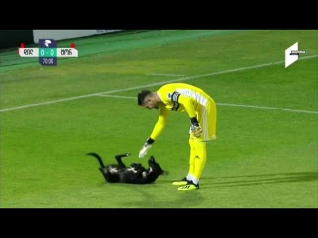 Good Dog Interrupts Soccer Match, Is Rudely Denied Belly Rubs