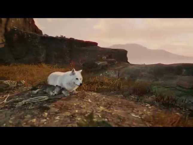 New Game from Creator of <em>Rayman</em> Lets You Be an Animal. All of Them.