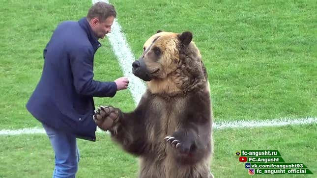 Enormous, Real-Life Bear Oversees Kickoff Of Russian Soccer Match