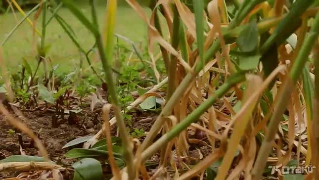 The Myth of the Summer Video Game ‘Drought’