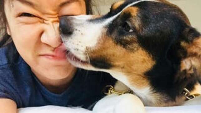 When Will Democrats Appeal to Me, a Dog Mom?