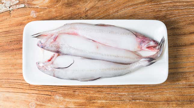 Image for article titled TIL Bombay duck is not actually duck