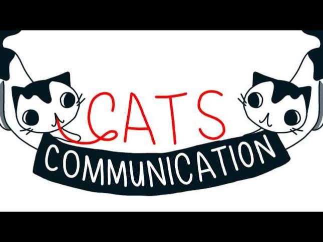 The Secret to Understanding What Your Cat Is Trying to Tell You, Maybe