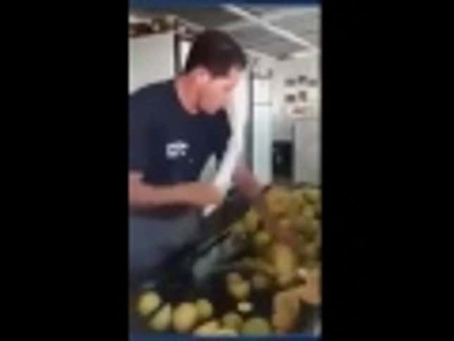 Real-Life <em>Fruit Ninja</em> Is Very Dangerous With A Knife