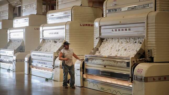 Cotton is cleaned of seeds and plant waste, dried and compressed into bales at Wilson Gin on October 30, 2017 near Wilson, Arkansas.