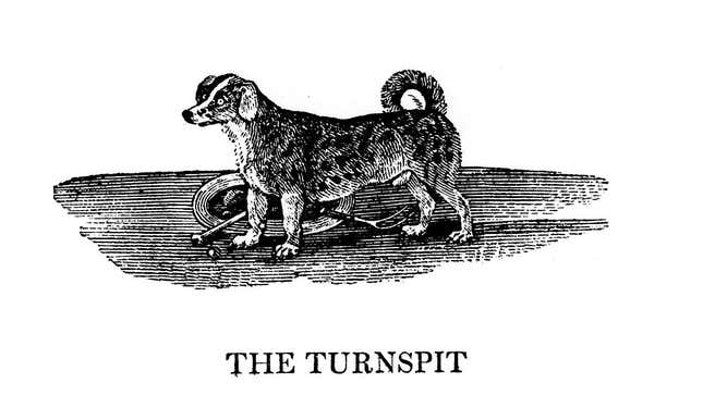 Image for article titled Last Call: How can pets contribute to household chores?