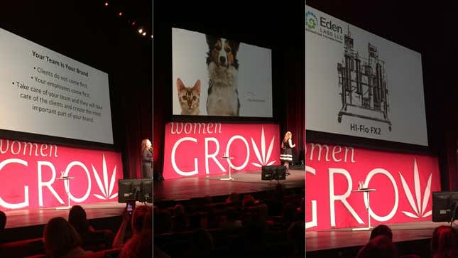 “Team first” was a common ethos; the weed for pets with cancer talk was very affecting; an extraction system from Eden Labs