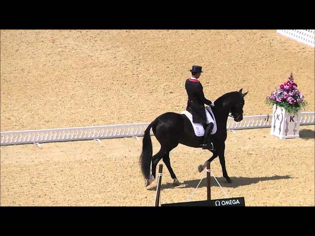 The Olympics Are For Humans, Not Horses