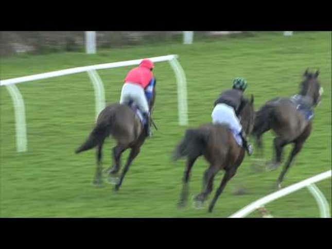 Jockey Picks Absolute Worst Time To Jump Off His Horse