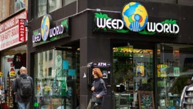 Please Give Me What This Guy Is Smoking