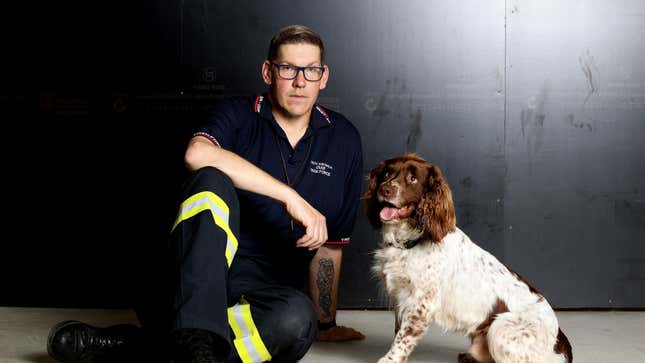 Dog handler and senior firefighter Alex Withers of the Metropolitan Fire Service SA and the SA Urban Search and Rescue Task Force with his English springer spaniel Floki.
