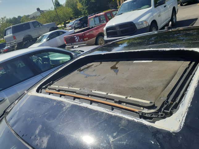 Image for article titled Here’s Everything Wrong With My Ludicrously Cheap ‘Holy Grail’ Volkswagen Passat W8 Manual
