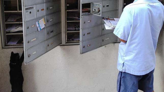 Cat discovers calling as neighborhood mail carrier