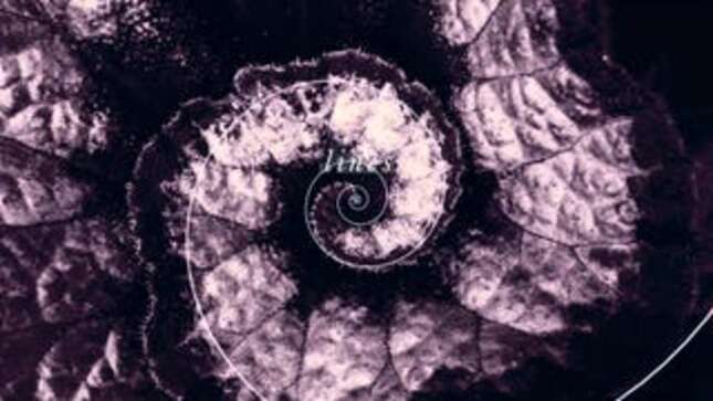 Y/N: Janelle Monáe's New Protest Anthem Is So Good It Hurts