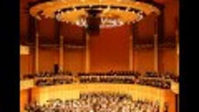 Rejoice! Society Finally Has the 24-Hour All Cat Channel It Deserves