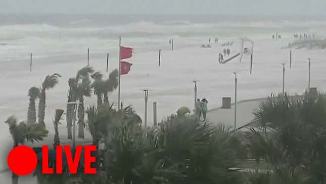 How to Watch Live Video of Hurricane Michael Online