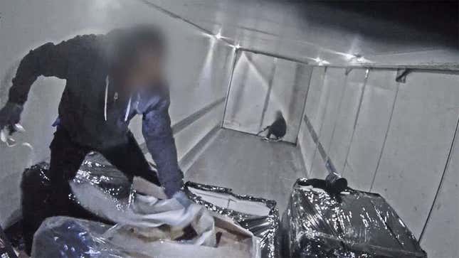 Watch These Thieves Jump Into A Truck From A Car At 50 MPH