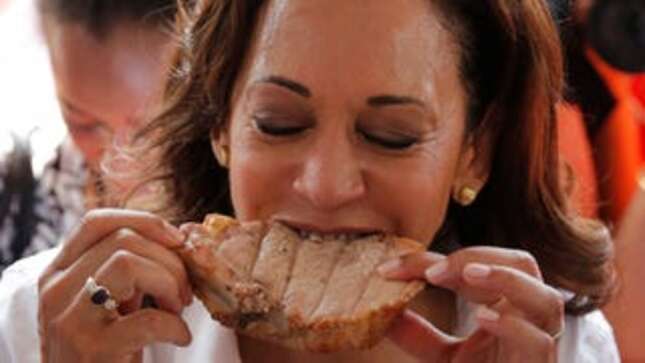 The Agony and the Ecstasy of Presidential Candidates Going Hard at the Iowa State Fair