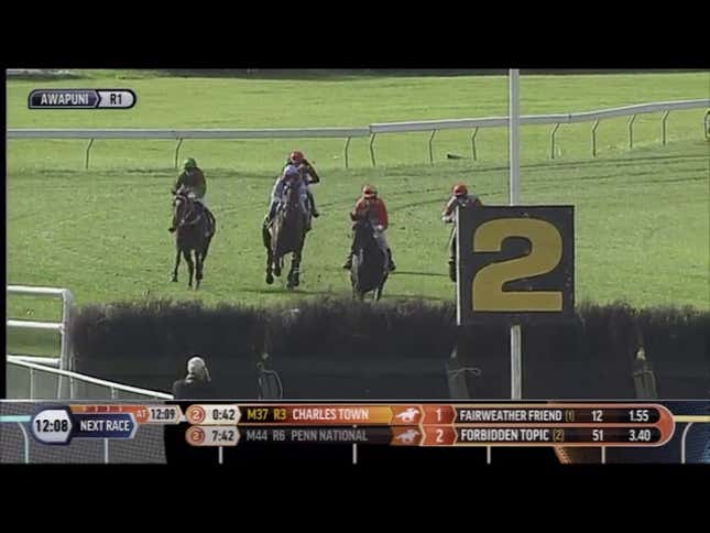 Tough-As-Nails Racehorse Falls, Nearly Dumps Jockey, Recovers, Wins