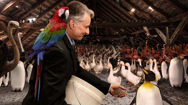 Image for article titled Audubon Society President Spends Another Morning In Attic Feeding Nation’s 2.9 Billion Missing Birds